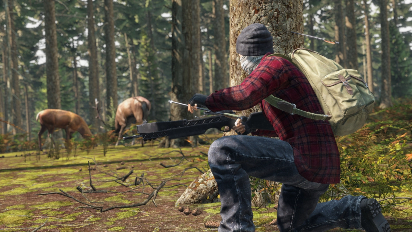 Self-sufficiency in DayZ