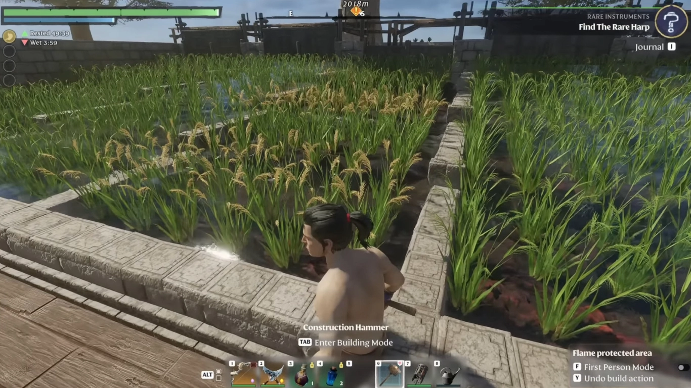 Growing rice in Enshrouded Veilwater Basin with irrigation