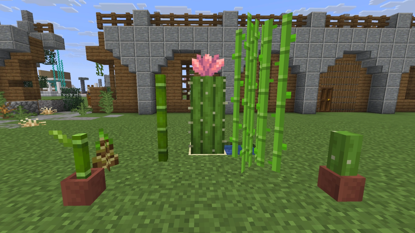 Minecraft cacti, bamboo, and sugar cane as decorative elements by water and in the desert
