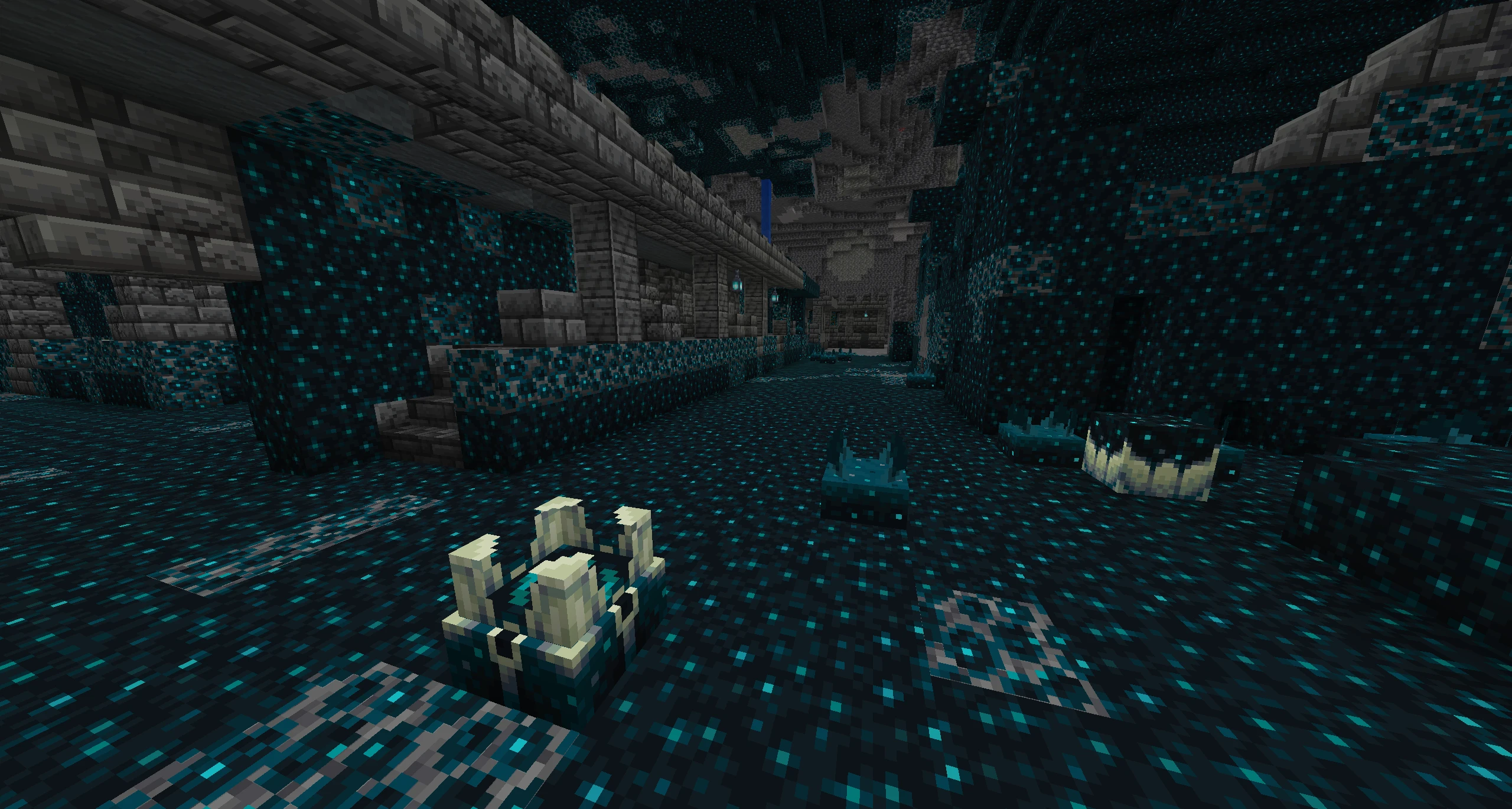 Defeat the Minecraft Warden 2