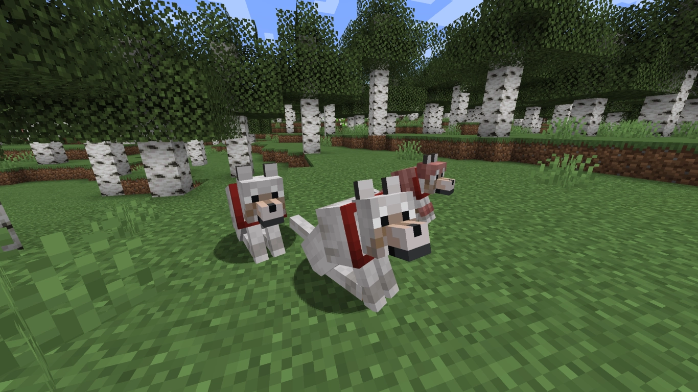 Taming wolves in Minecraft
