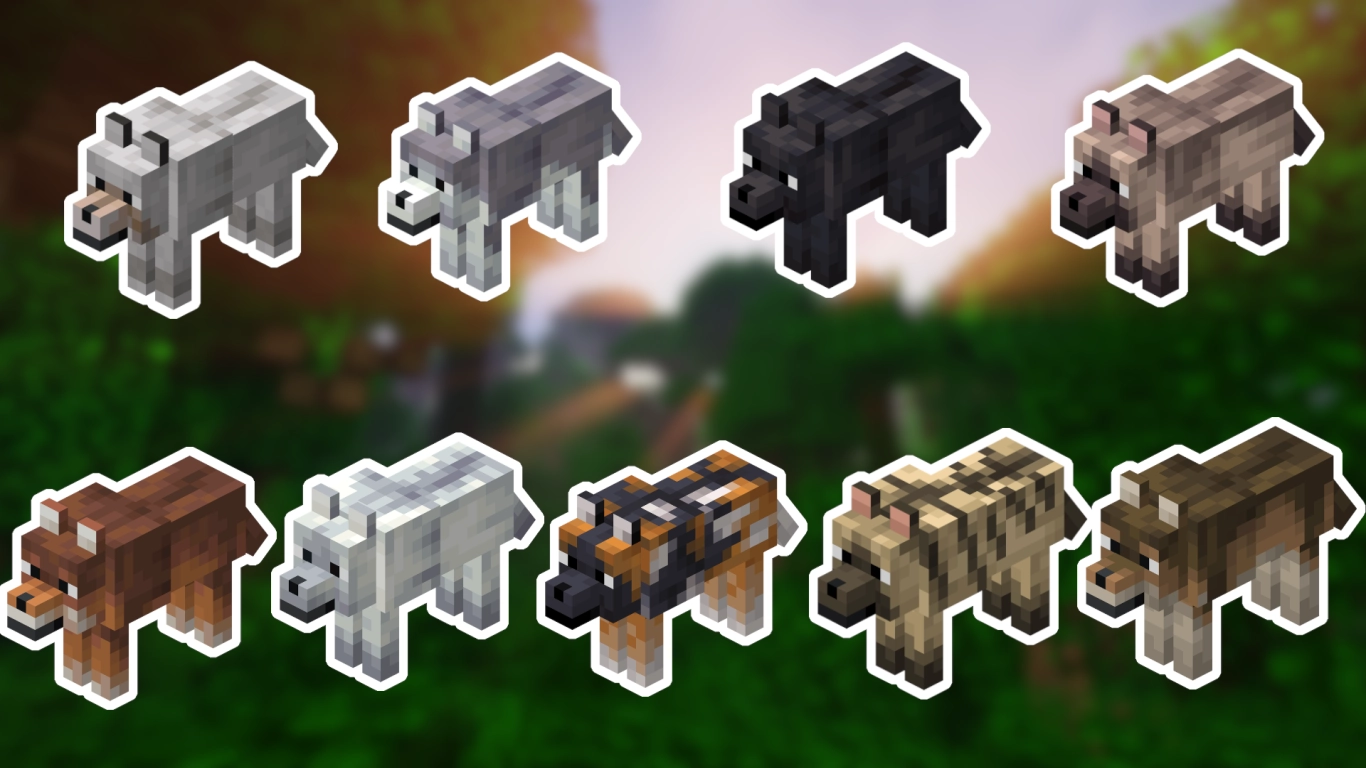 Different wolf coat colors in Minecraft
